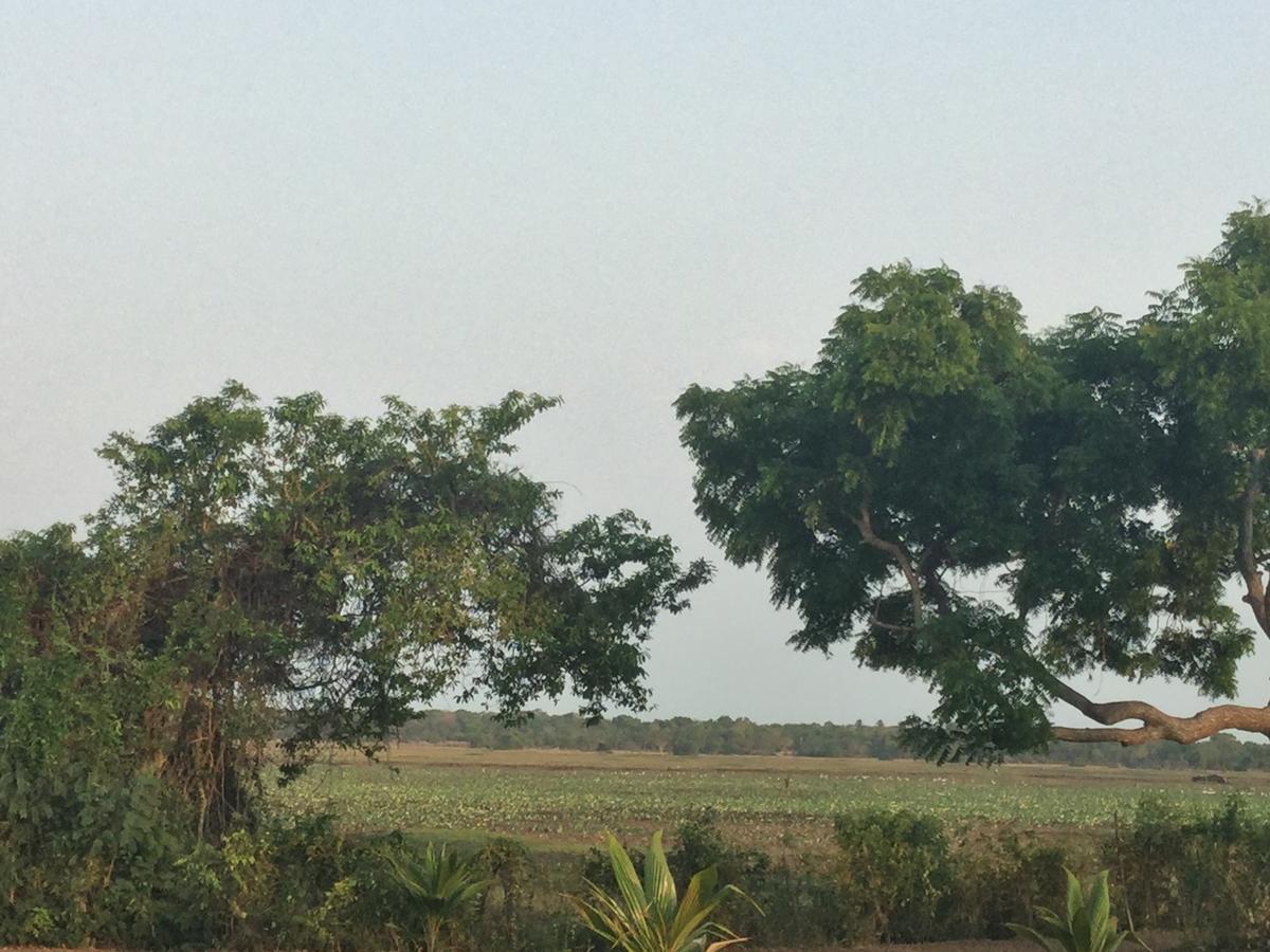 Captain'S Bird Safari Lodge Puttalam Esterno foto