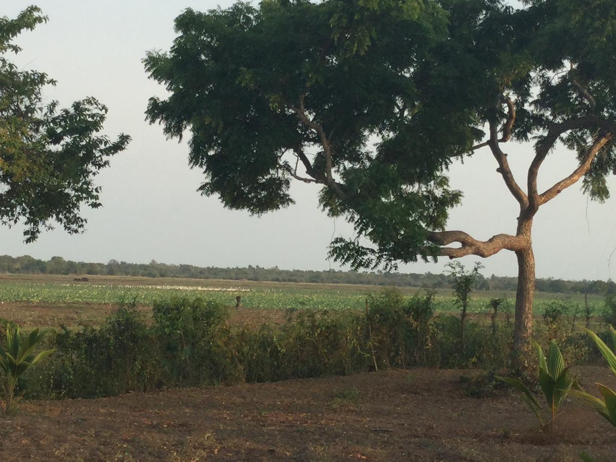 Captain'S Bird Safari Lodge Puttalam Esterno foto
