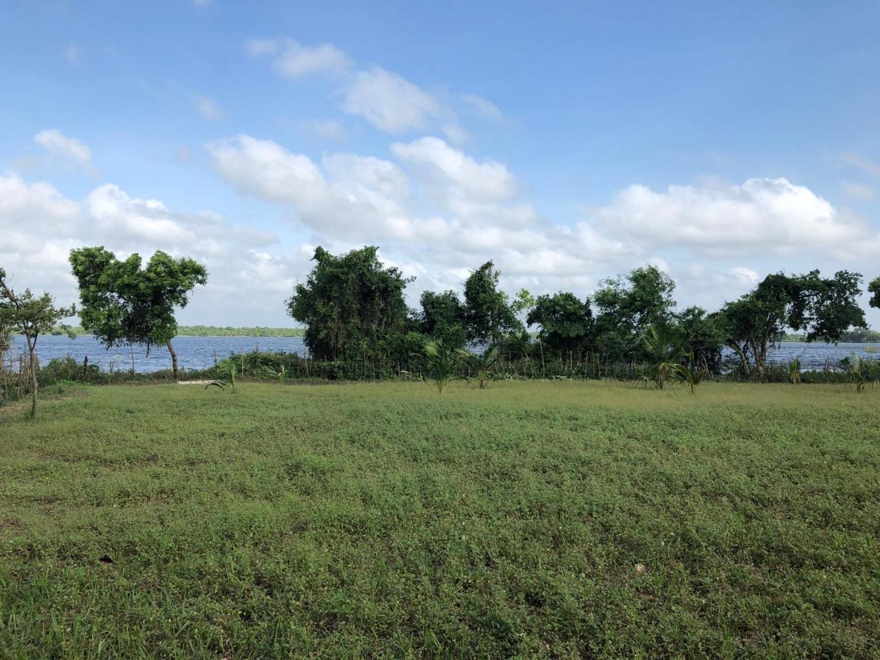 Captain'S Bird Safari Lodge Puttalam Esterno foto