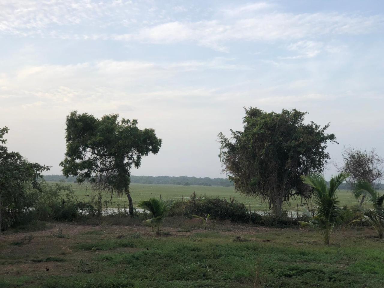 Captain'S Bird Safari Lodge Puttalam Esterno foto