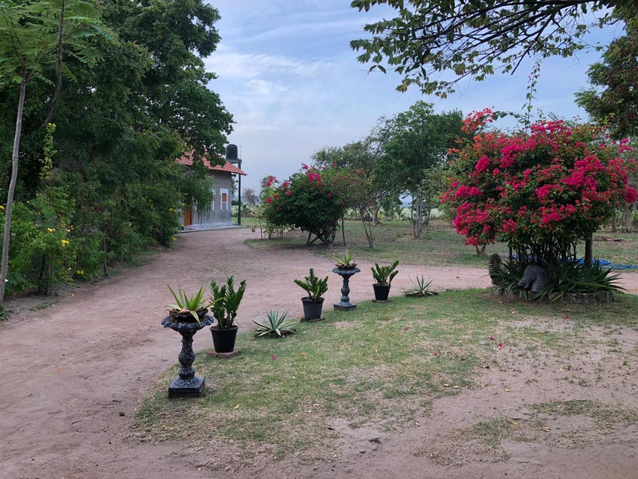 Captain'S Bird Safari Lodge Puttalam Esterno foto