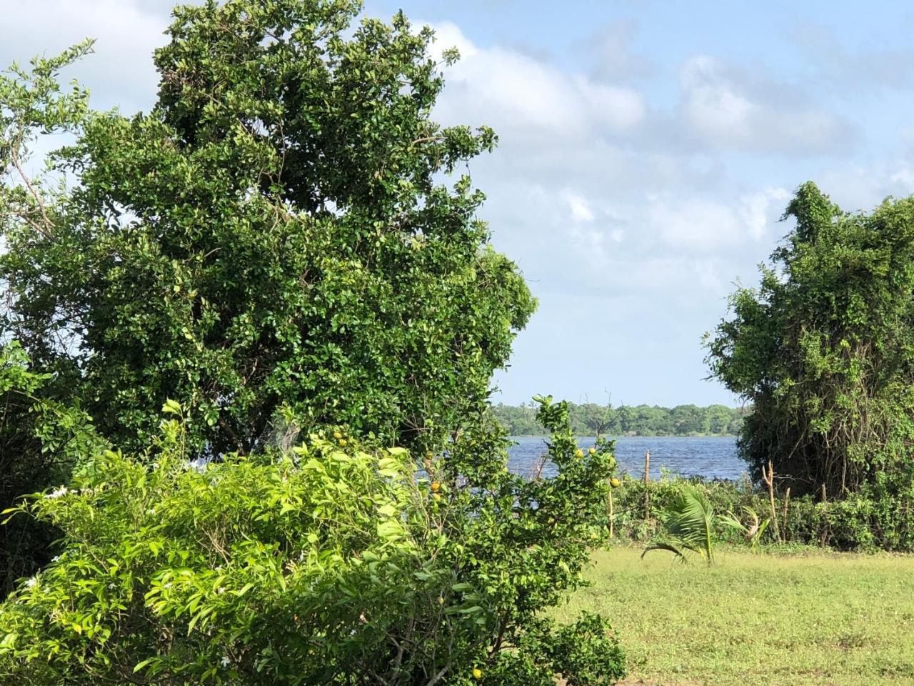 Captain'S Bird Safari Lodge Puttalam Esterno foto