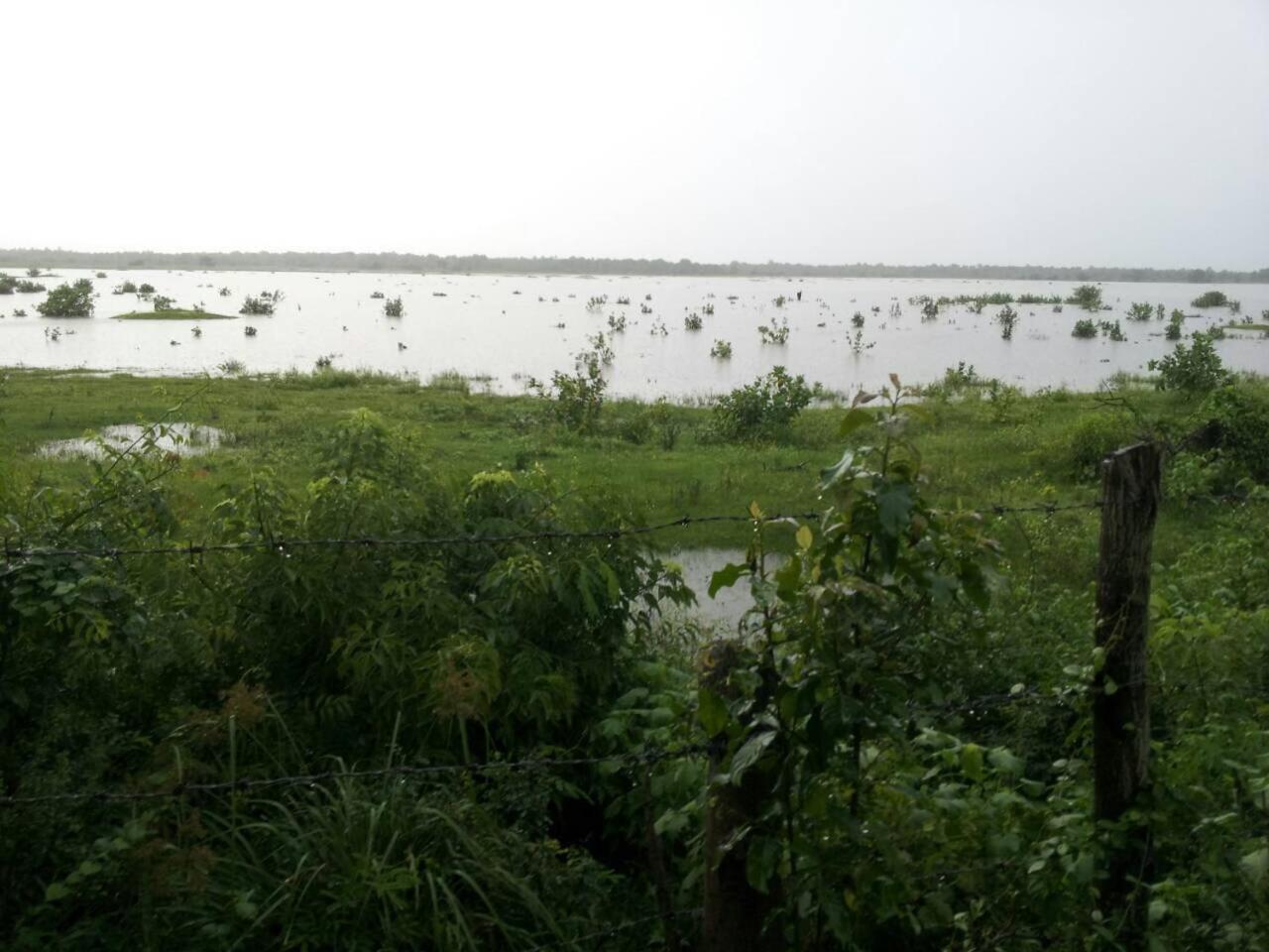 Captain'S Bird Safari Lodge Puttalam Esterno foto