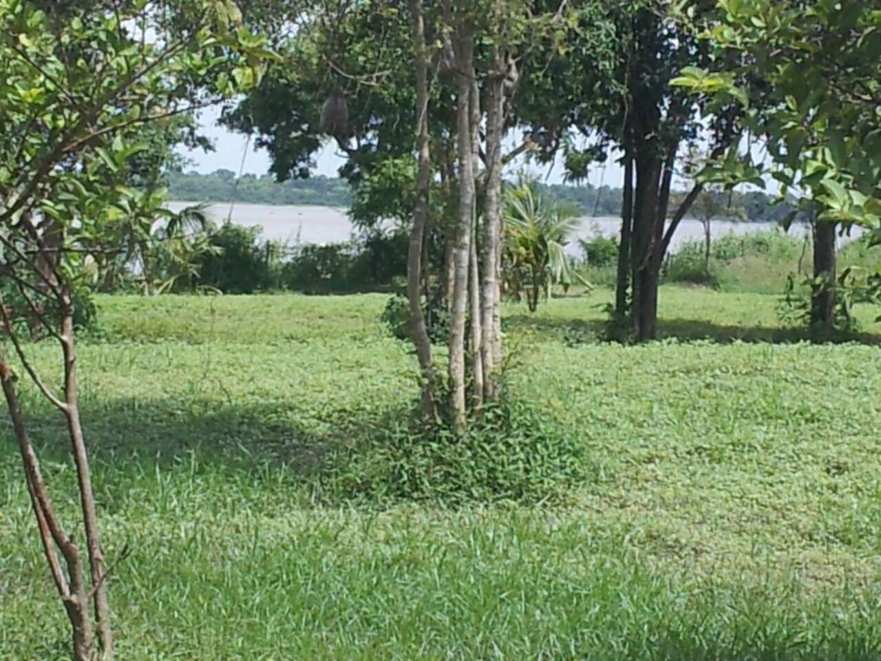 Captain'S Bird Safari Lodge Puttalam Esterno foto