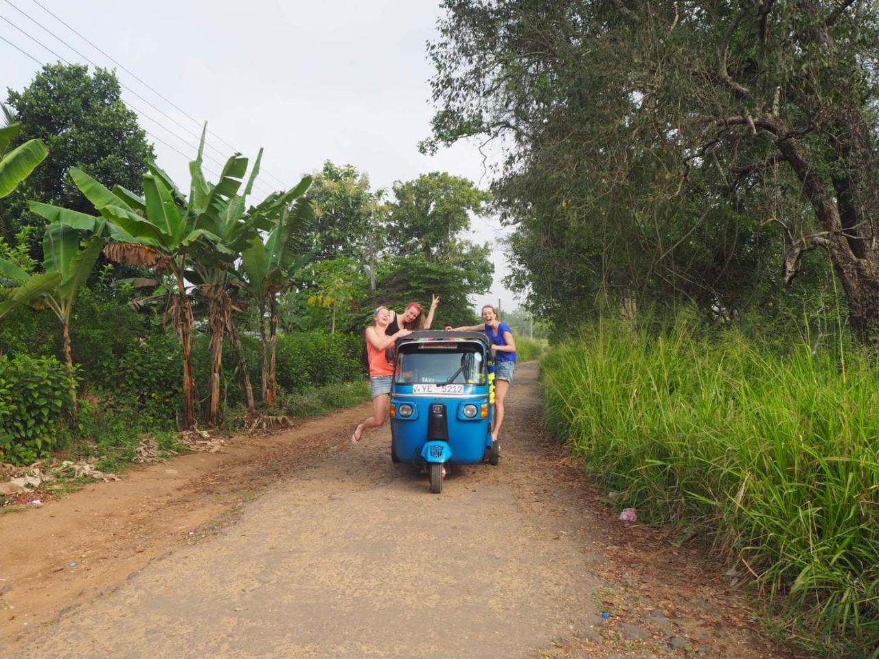 Captain'S Bird Safari Lodge Puttalam Esterno foto
