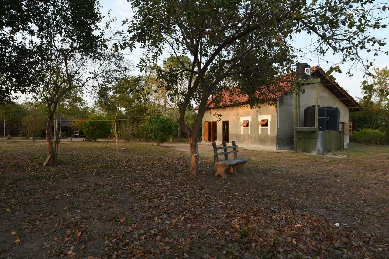 Captain'S Bird Safari Lodge Puttalam Esterno foto